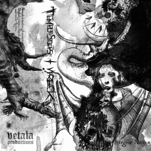 Temple Steps : Temple Steps​ - Wreck